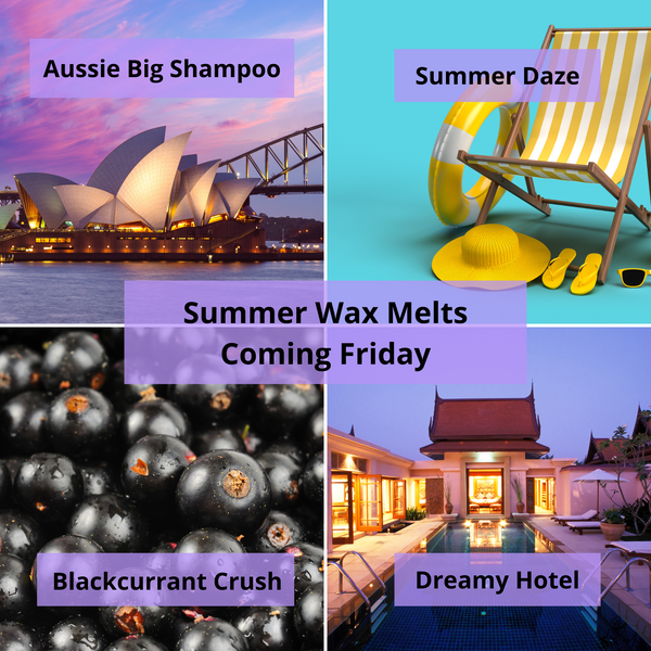 Summer Wax Melt Snap Bars