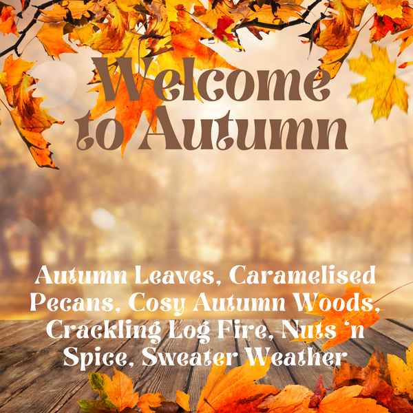 Autumn Wax Melt Snap Bars