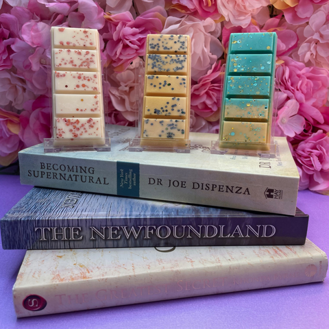 Book Lovers Bundle - Bookish Wax Melts